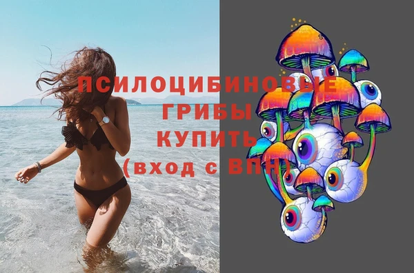 марки lsd Вяземский